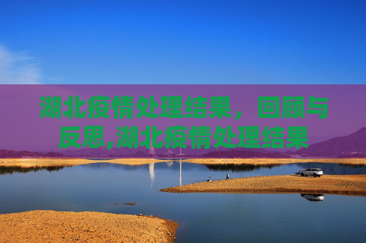 湖北疫情处理结果，回顾与反思,湖北疫情处理结果