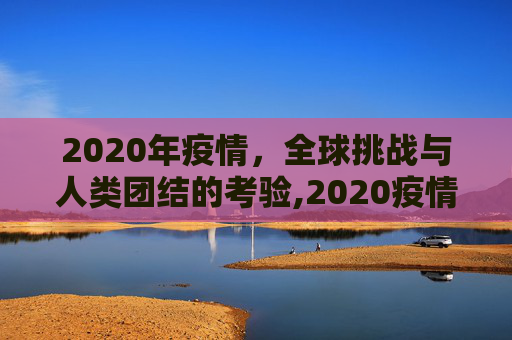 2020年疫情，全球挑战与人类团结的考验,2020疫情