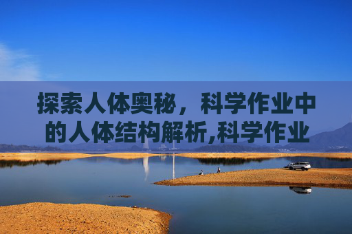 探索人体奥秘，科学作业中的人体结构解析,科学作业人体结构