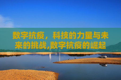 数字抗疫，科技的力量与未来的挑战,数字抗疫的崛起