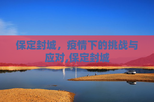 保定封城，疫情下的挑战与应对,保定封城