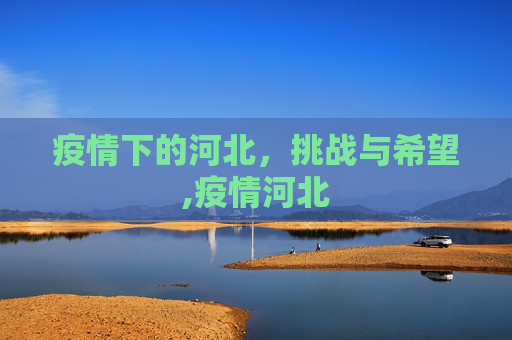 疫情下的河北，挑战与希望,疫情河北