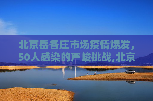北京岳各庄市场疫情爆发，50人感染的严峻挑战,北京岳各庄市场疫情已致50人感染