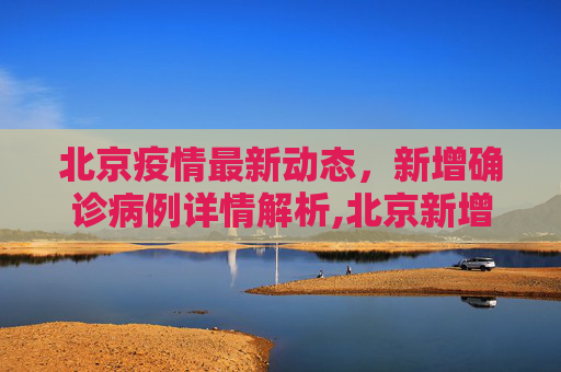 北京疫情最新动态，新增确诊病例详情解析,北京新增确诊病例详情