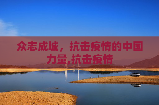 众志成城，抗击疫情的中国力量,抗击疫情