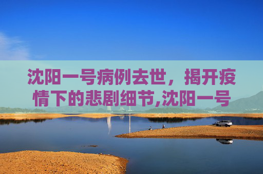 沈阳一号病例去世，揭开疫情下的悲剧细节,沈阳一号病例去世披露细节