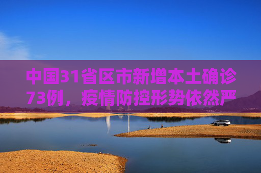 中国31省区市新增本土确诊73例，疫情防控形势依然严峻,31省区市新增本土确诊73例