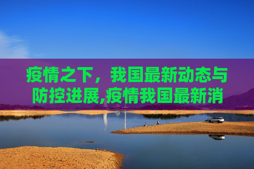 疫情之下，我国最新动态与防控进展,疫情我国最新消息