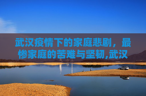 武汉疫情下的家庭悲剧，最惨家庭的苦难与坚韧,武汉疫情最惨家庭