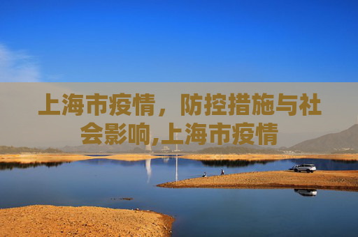 上海市疫情，防控措施与社会影响,上海市疫情