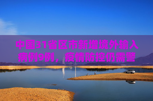 中国31省区市新增境外输入病例9例，疫情防控仍需警惕,31省区市新增境外输入9例
