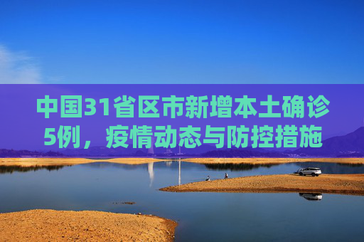 中国31省区市新增本土确诊5例，疫情动态与防控措施,31省区市新增本土确诊5例