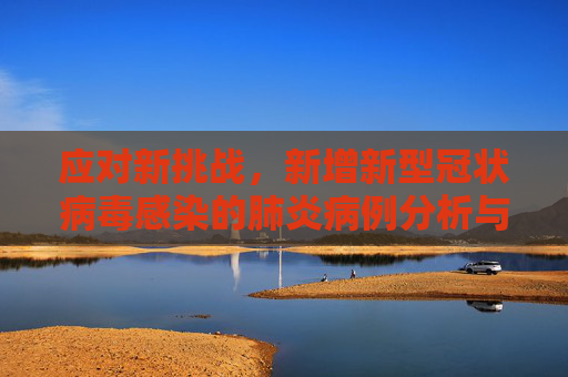 应对新挑战，新增新型冠状病毒感染的肺炎病例分析与防控策略,新增新型冠状病毒感染的肺炎病例