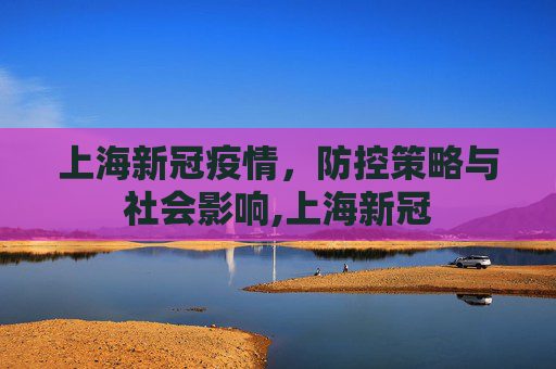 上海新冠疫情，防控策略与社会影响,上海新冠