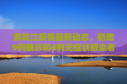 黑龙江疫情最新动态，新增9例确诊和4例无症状感染者,黑龙江新增9例确诊4例无症状