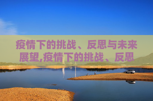 疫情下的挑战、反思与未来展望,疫情下的挑战、反思与未来展望