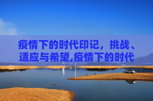 疫情下的时代印记，挑战、适应与希望,疫情下的时代印记