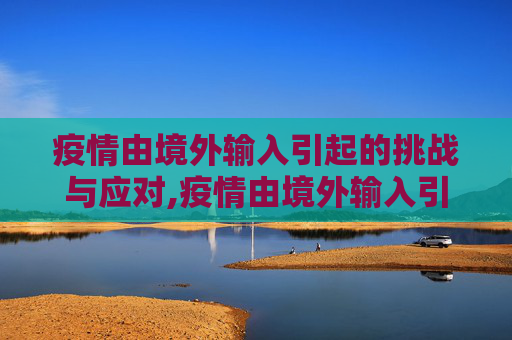 疫情由境外输入引起的挑战与应对,疫情由境外输入引起