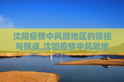 沈阳疫情中风险地区的防控与挑战,沈阳疫情中风险地区