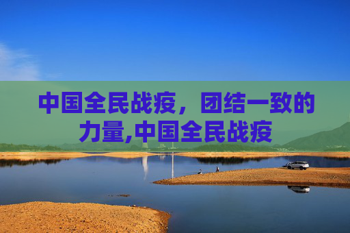 中国全民战疫，团结一致的力量,中国全民战疫