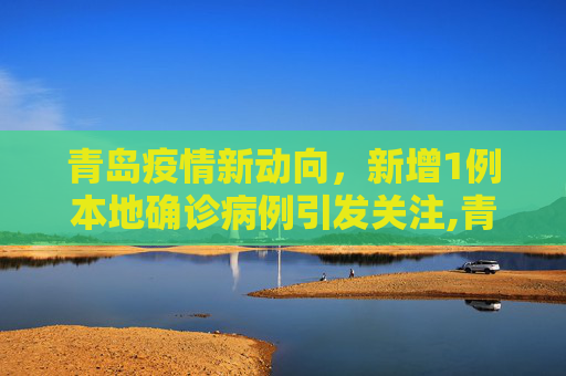 青岛疫情新动向，新增1例本地确诊病例引发关注,青岛新增1例本地确诊病例