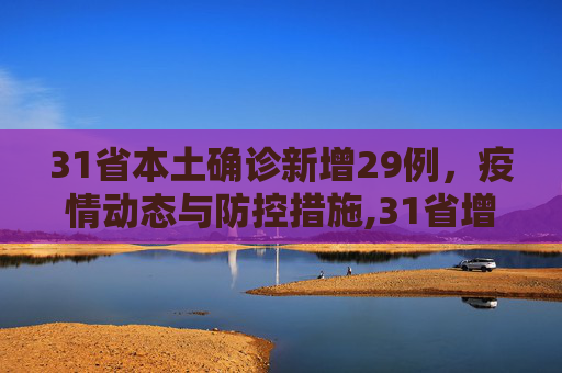 31省本土确诊新增29例，疫情动态与防控措施,31省增29例本土确诊