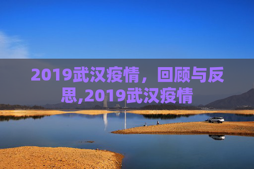 2019武汉疫情，回顾与反思,2019武汉疫情