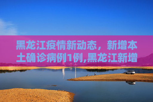 黑龙江疫情新动态，新增本土确诊病例1例,黑龙江新增本土确诊1例