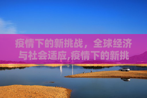 疫情下的新挑战，全球经济与社会适应,疫情下的新挑战