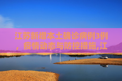江苏新增本土确诊病例3例，疫情动态与防控措施,江苏新增本土确诊病例3例