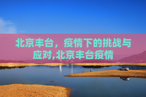 北京丰台，疫情下的挑战与应对,北京丰台疫情