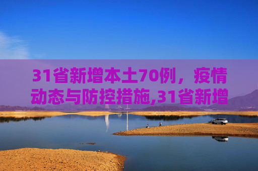 31省新增本土70例，疫情动态与防控措施,31省新增本土70例