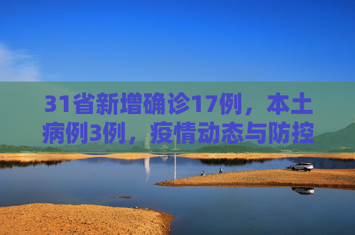 31省新增确诊17例，本土病例3例，疫情动态与防控措施,31省新增确诊17例本土3例