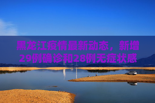 黑龙江疫情最新动态，新增29例确诊和28例无症状感染者,黑龙江新增29例确诊28例无症状