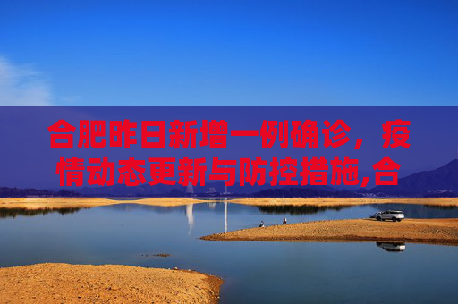 合肥昨日新增一例确诊，疫情动态更新与防控措施,合肥昨天确诊一例的简单介绍