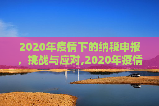 2020年疫情下的纳税申报，挑战与应对,2020年疫情下的纳税申报
