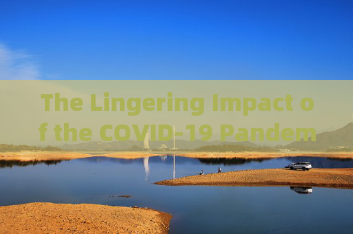 The Lingering Impact of the COVID-19 Pandemic on Global Communication:A Focus on English Expression,新冠疫情英语表达