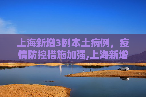 上海新增3例本土病例，疫情防控措施加强,上海新增3例