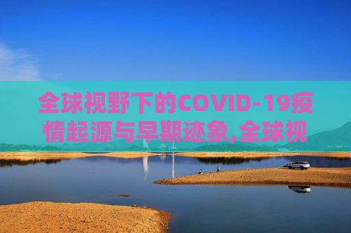 全球视野下的COVID-19疫情起源与早期迹象,全球视野下的COVID19疫情起源与早期迹象