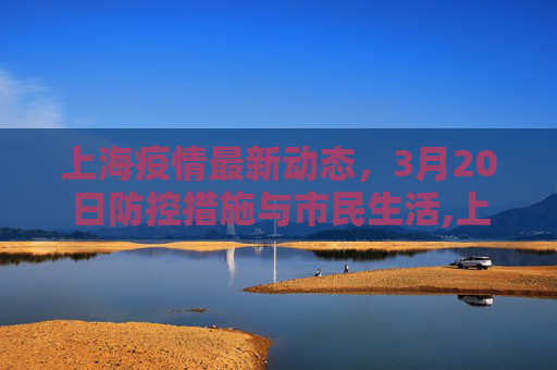 上海疫情最新动态，3月20日防控措施与市民生活,上海疫情最新消息3月20日