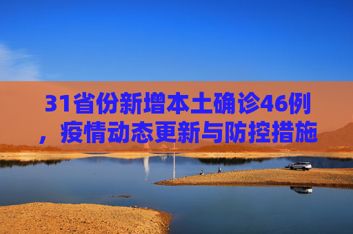 31省份新增本土确诊46例，疫情动态更新与防控措施,31省份新增本土确诊46例