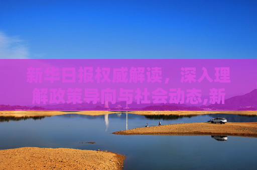 新华日报权威解读，深入理解政策导向与社会动态,新华日报权威解读