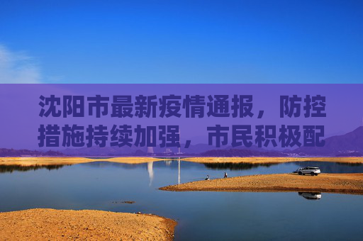 沈阳市最新疫情通报，防控措施持续加强，市民积极配合,沈阳市最新疫情通报