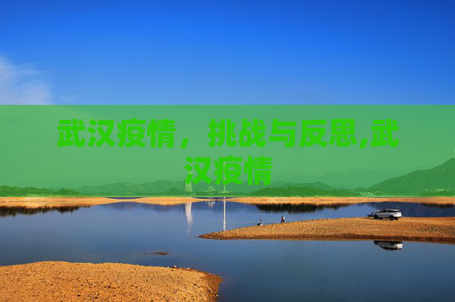 武汉疫情，挑战与反思,武汉疫情