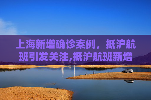 上海新增确诊案例，抵沪航班引发关注,抵沪航班新增确诊