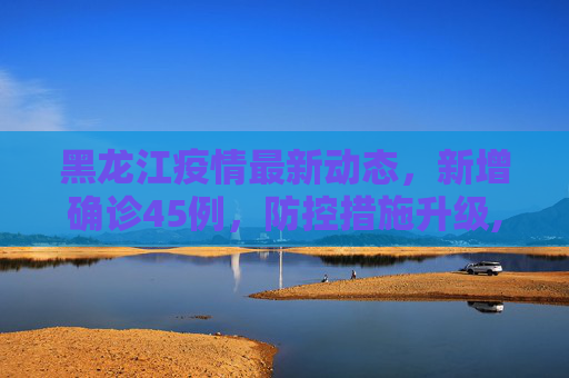 黑龙江疫情最新动态，新增确诊45例，防控措施升级,黑龙江新增确诊45例