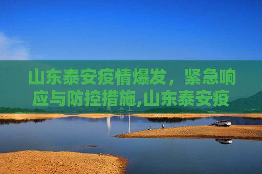 山东泰安疫情爆发，紧急响应与防控措施,山东泰安疫情爆发