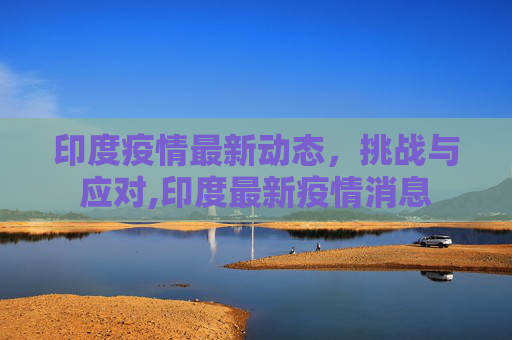 印度疫情最新动态，挑战与应对,印度最新疫情消息