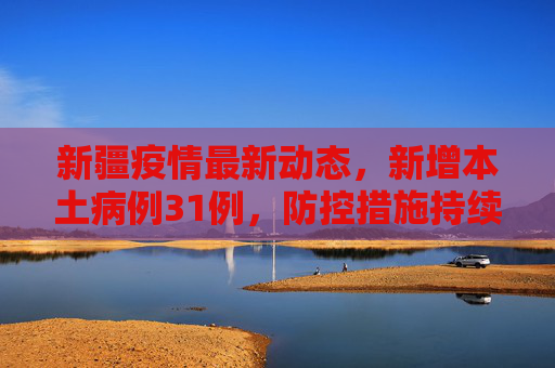 新疆疫情最新动态，新增本土病例31例，防控措施持续加强,新疆新增本土31例