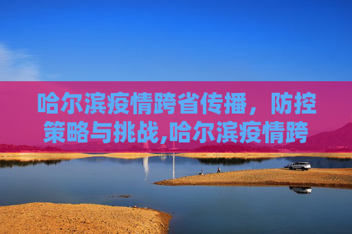 哈尔滨疫情跨省传播，防控策略与挑战,哈尔滨疫情跨省传播